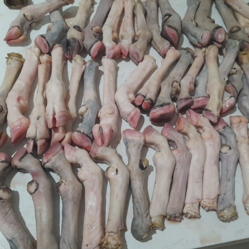 

kakikambinglokal4batang(1set)cocokuntuksopkambing