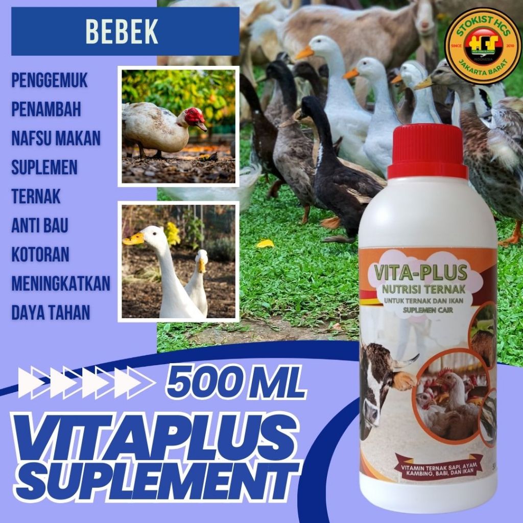 SOC Vitamin penggemuk sapi, Ayam, bebek super cepat | vitamin bebek petelur Supplemen Hewan Ternak