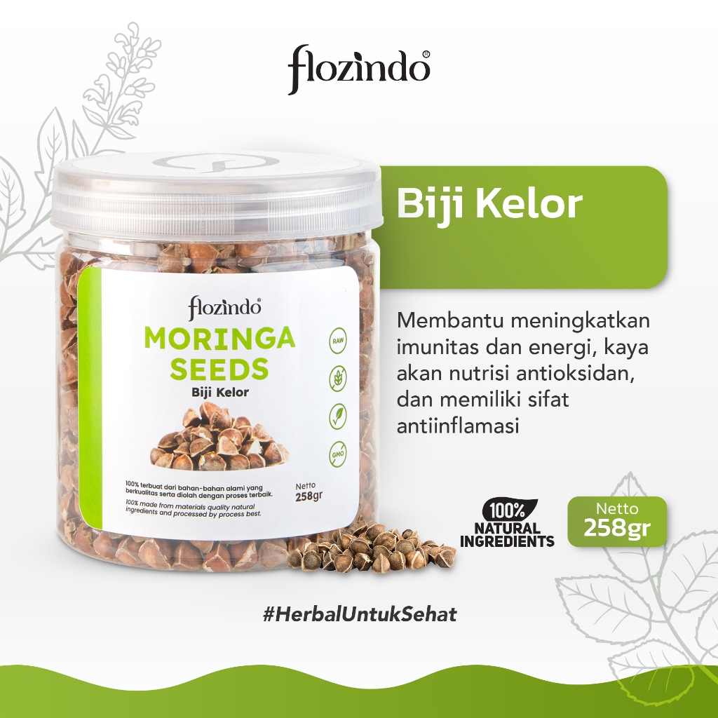 

Myorganic Biji Kelor Hitam Pure Moringa Oleifera Powder Superfood Antioksidan