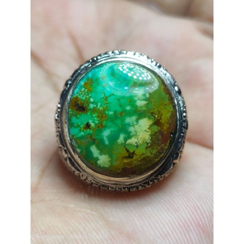 PIRUS PERSIA HIJAU DAUN LAWASAN