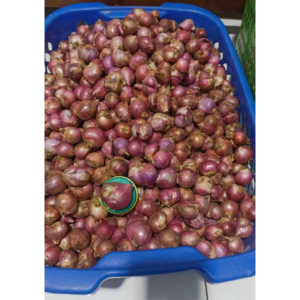 

BAWANG MERAH*SUPER A, AA, B, C | 1kg - Asli Probolinggo.