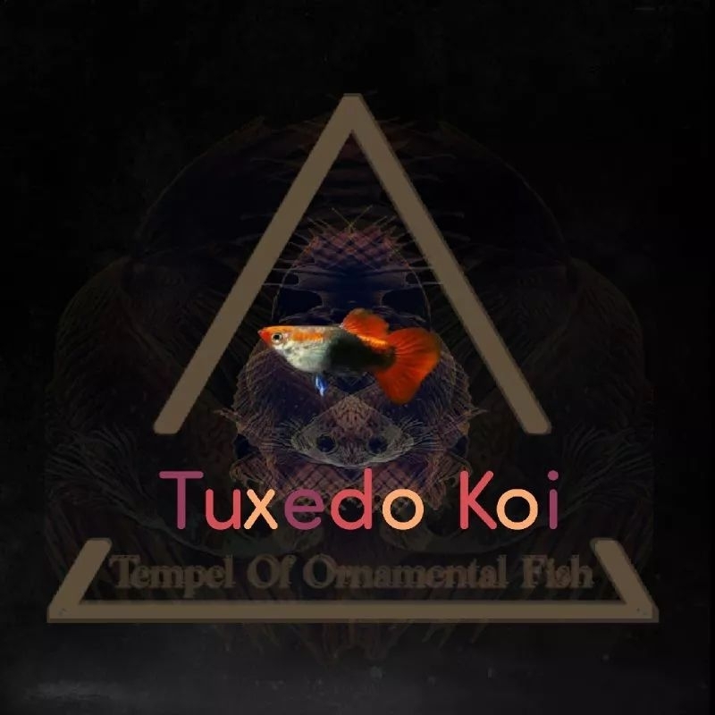 

stiker tempel tuxedo permanen