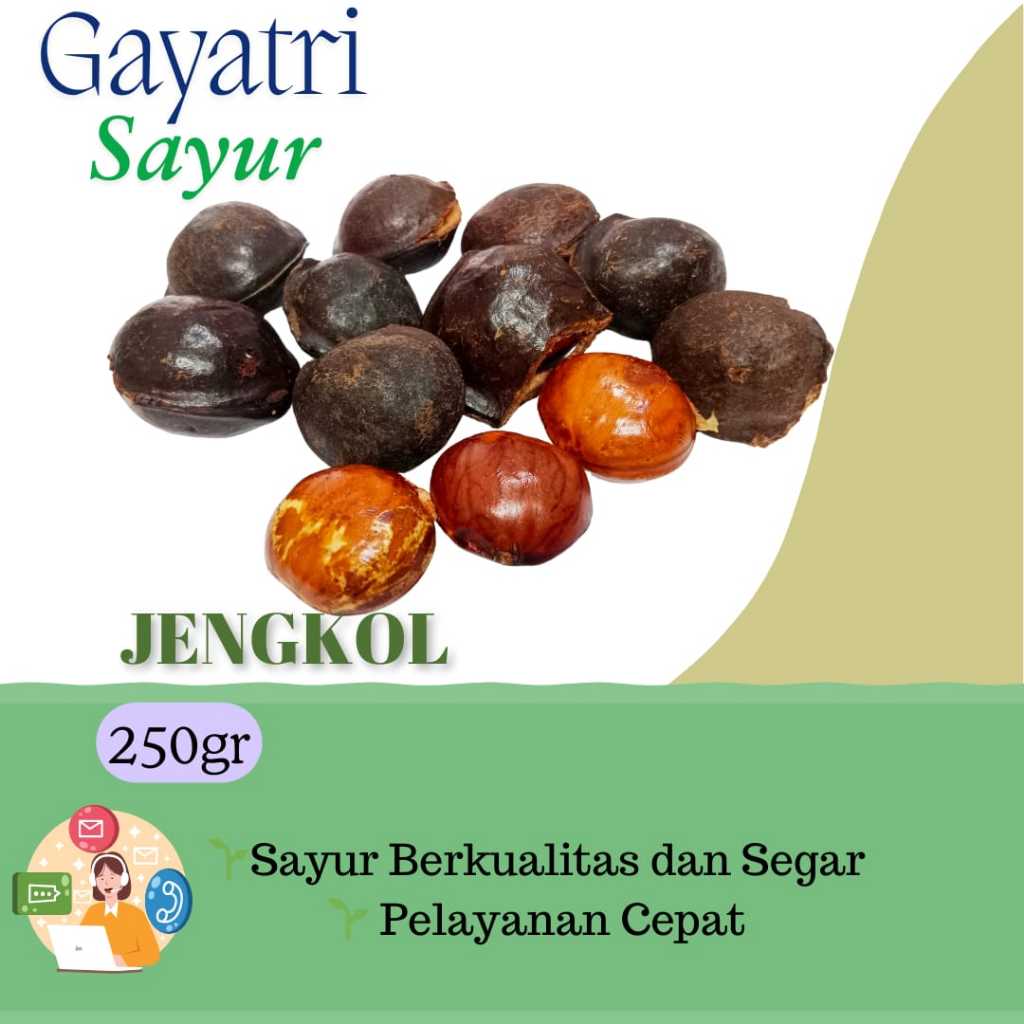 

Jengkol Fresh 250gr - KIRIM INSTANT GAYATRI SAYUR