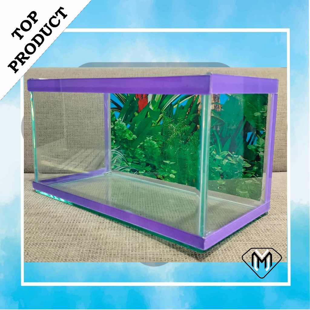 aquarium minimalis full set kaca ber bentuk persegi panjang