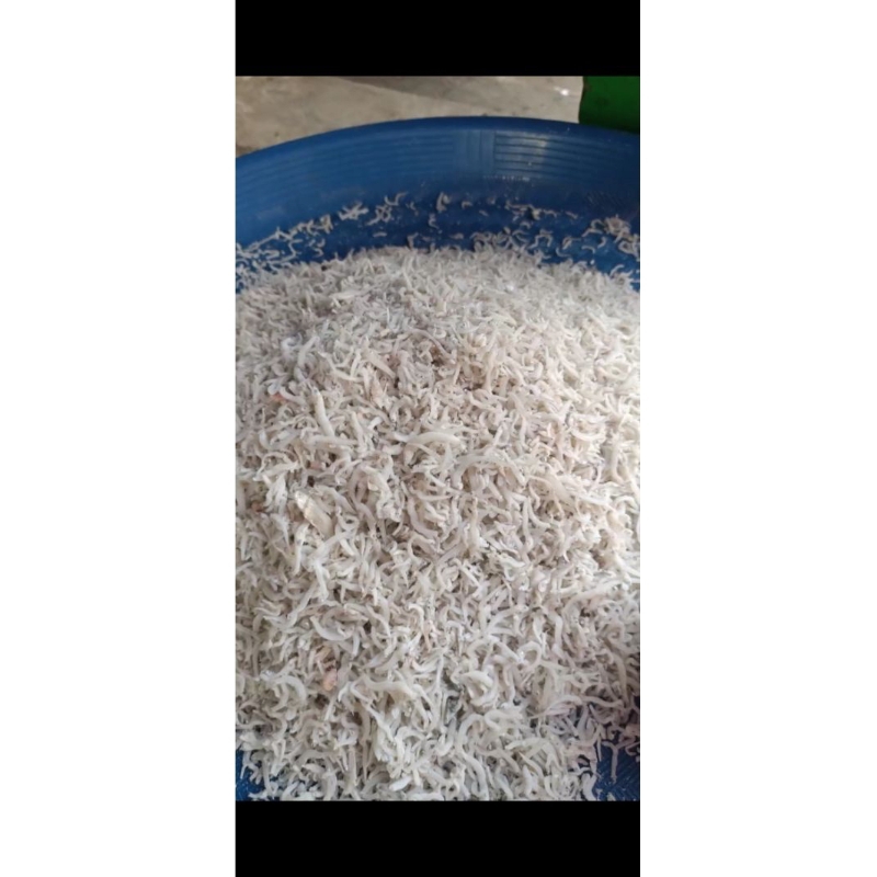 

Teri Medan/Teri Nasi Putih 100gram dan 500 gram