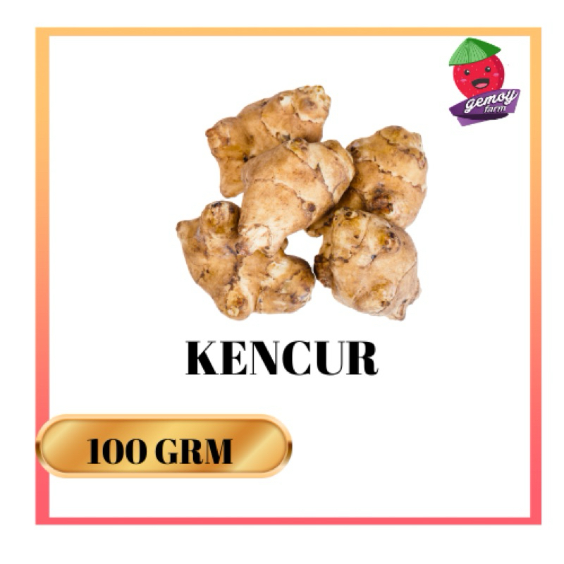 

Rempah-Rempah Kencur