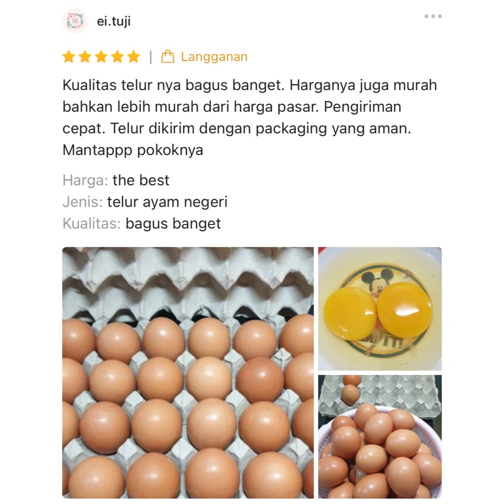

IO Telur Ayam Negri 30 Butir Fresh Dari Peternakan