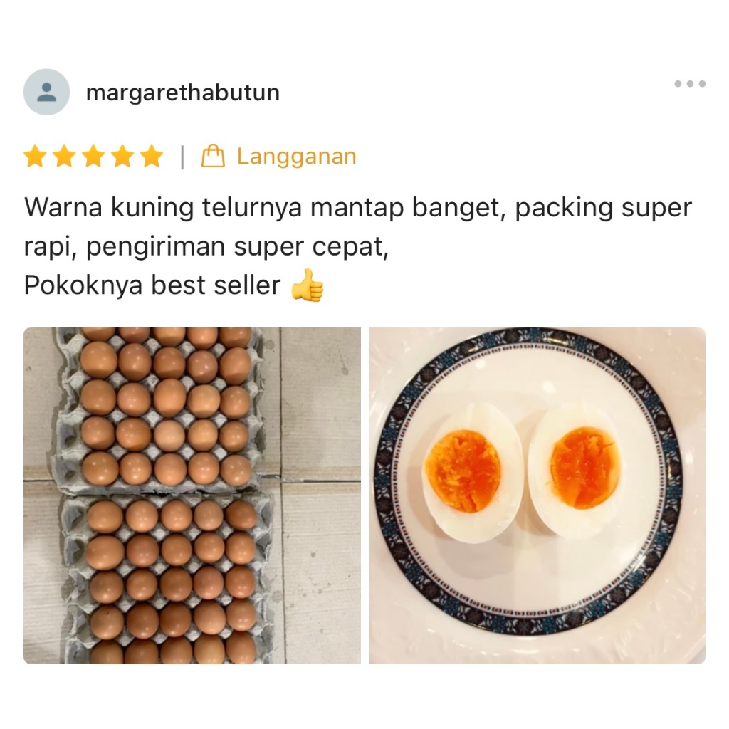 

IO Telur OMEGA 3 + Vit D (30 Butir)