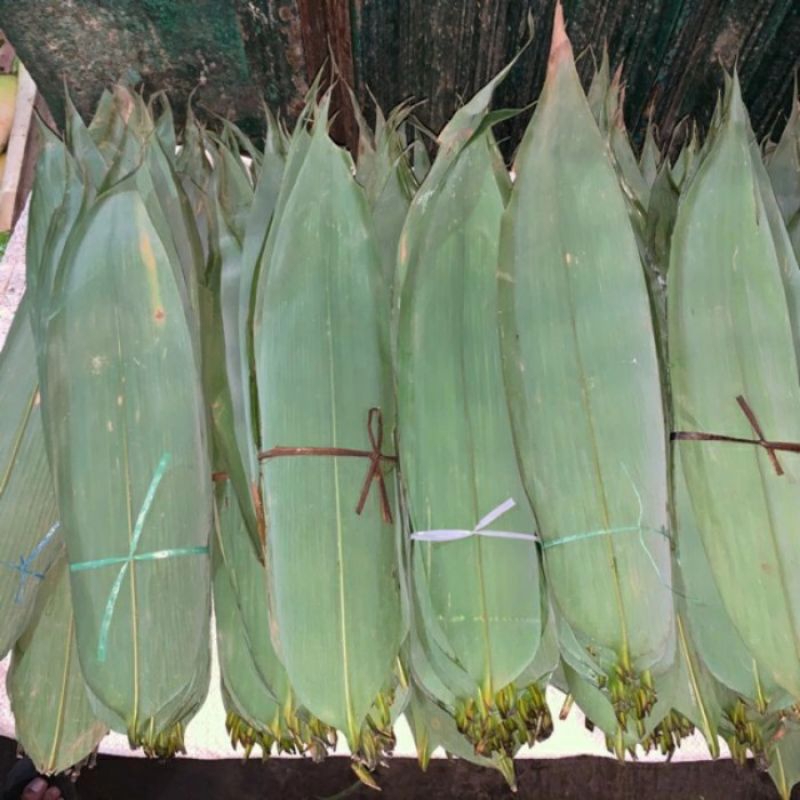 

Daun bambu bacang jumbo /100 lembar