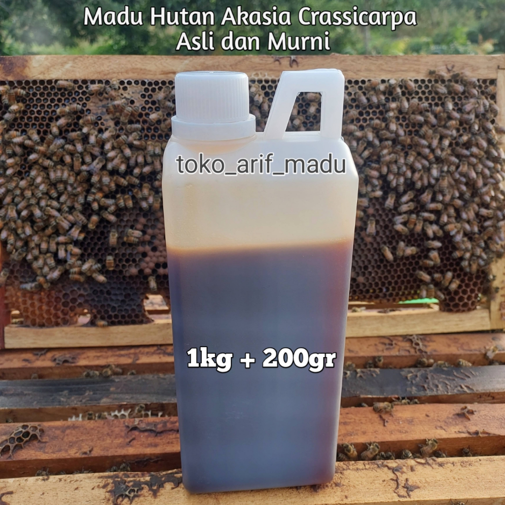 

Madu Hutan Acasia Crassicarpa 1kg + 200gram (Madu Asli & Murni Akasia Carva)