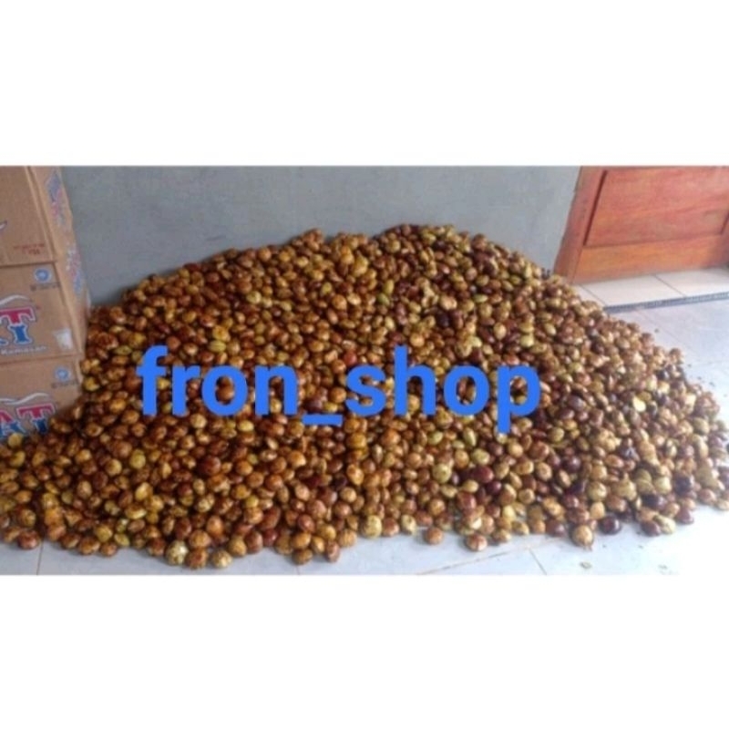 

Jengkol tua pool jengkol biji Asli Mancak Serang Banten (1Kg)