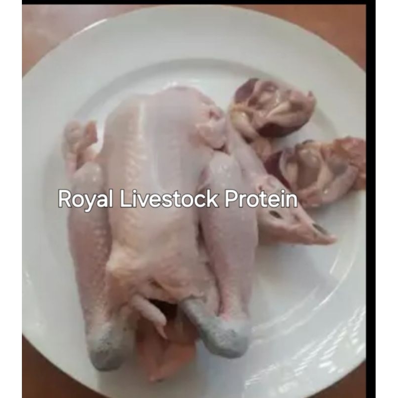 

Ayam Kampung Segar 1 ekor