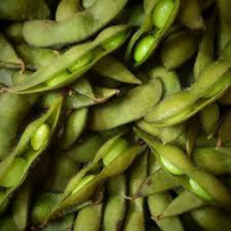 

KACANG DAMAME / DAMAME _ 500grm