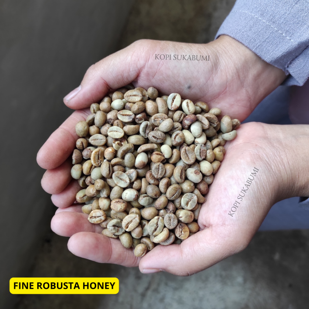 

Biji Kopi Green Bean Fine Robusta 1 kg