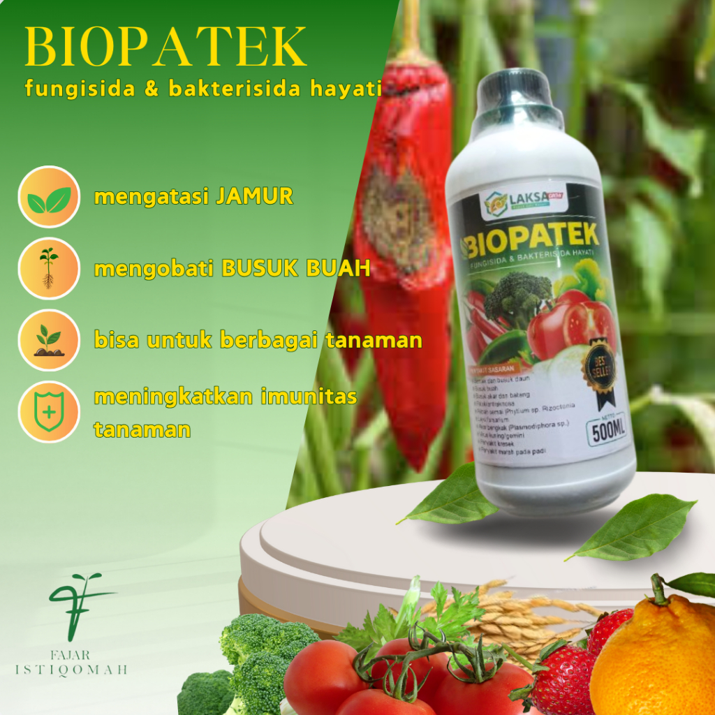 OBAT HAMA PATEK CABE BIOPATEK 500ml, obat patek cabai ampuh, Anti patek Cabe, Obat Hama Patek Cabe