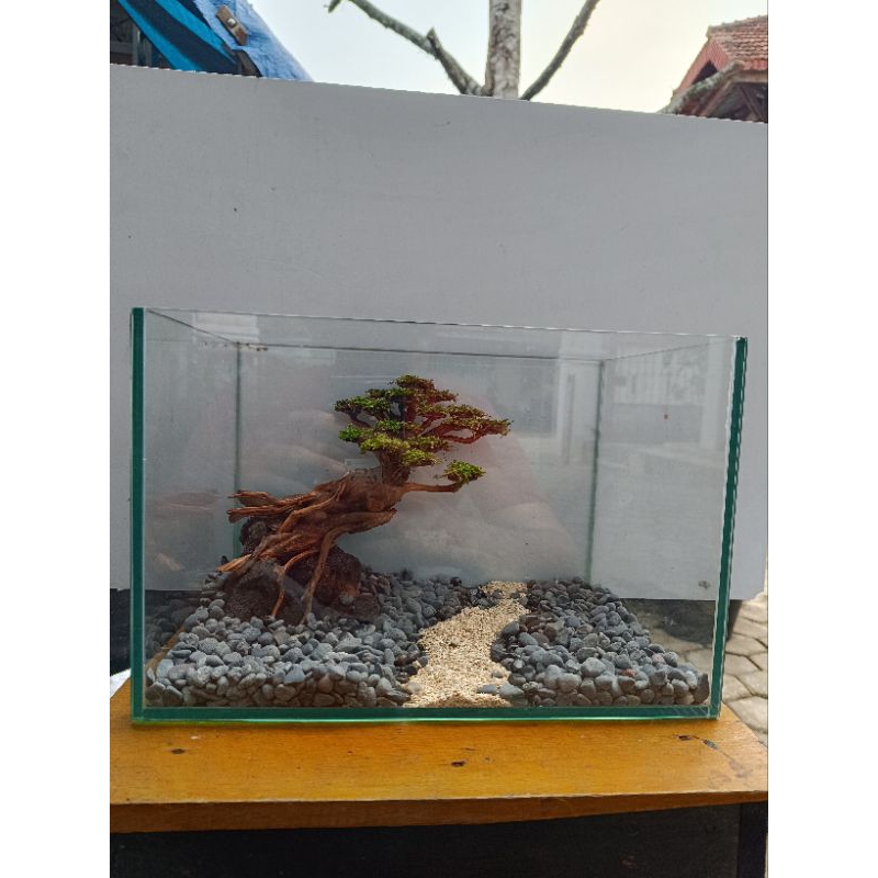 hardscape bonsai aquascape