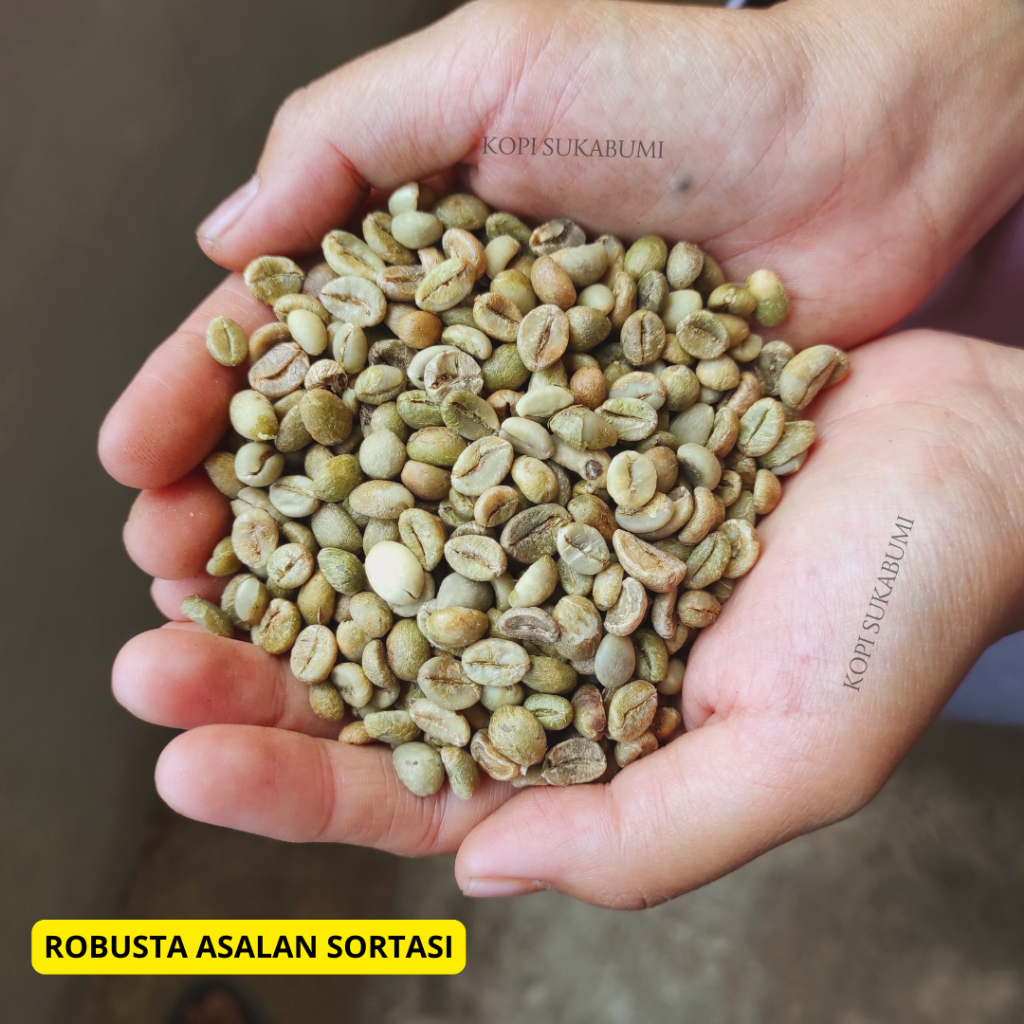 

Biji Kopi Robusta Asalan Natural 1 Kg
