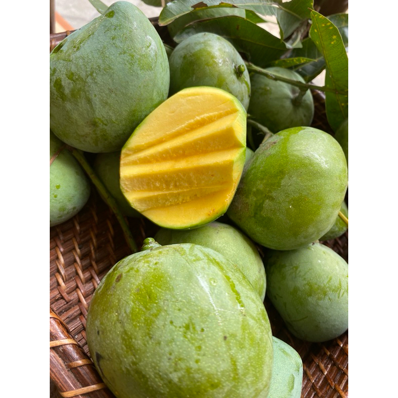 

mangga rujak 1kg