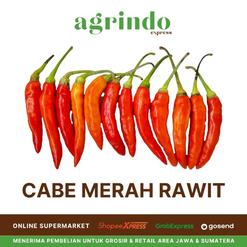 

Cabe Merah (Rawit)