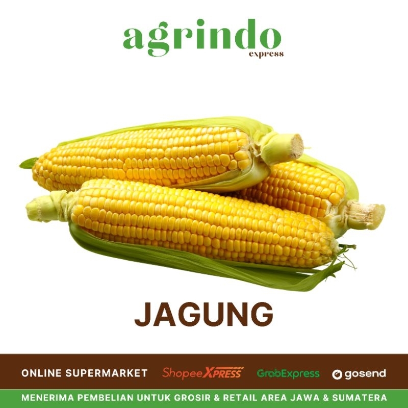 

Jagung