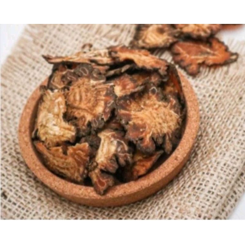 

17 Terjual Chuan Xiong Premium / Chuan Kiong 50gr / Sichuan lovege Rhizome