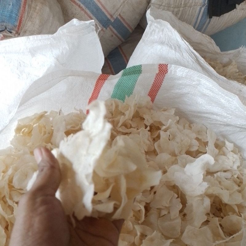 

Kripik Singkong Mentah rasa Gandum isi 250 gr