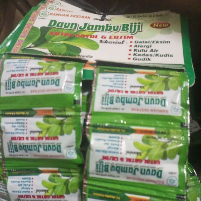

daun jambu biji