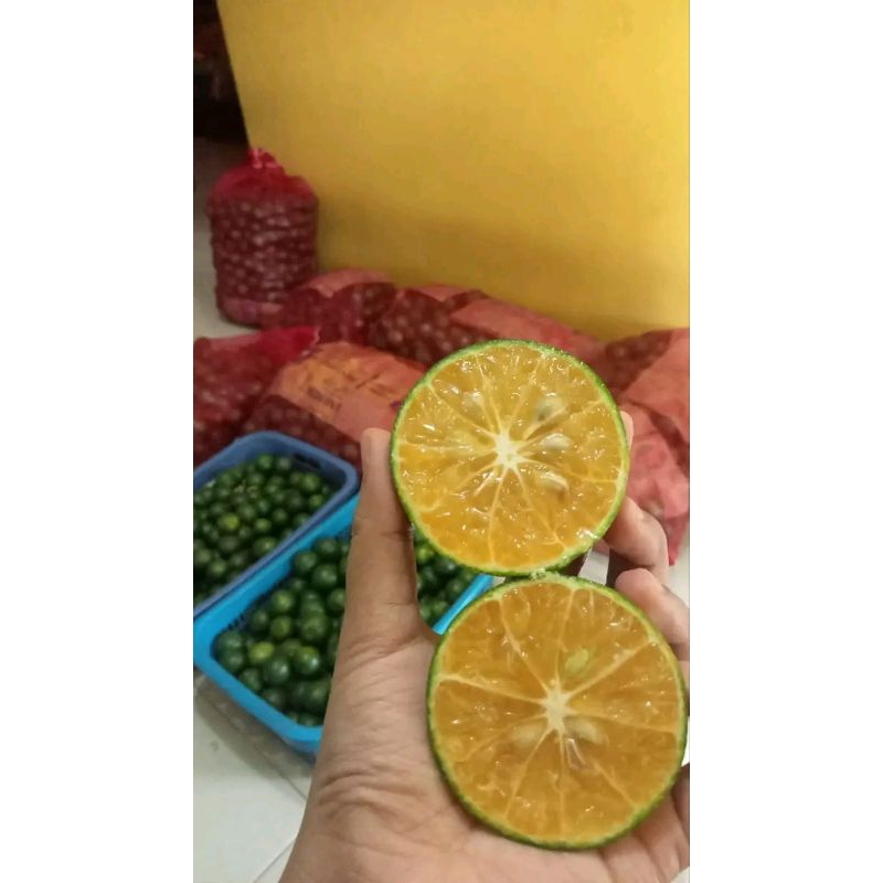 

jeruk perassss 1kilo