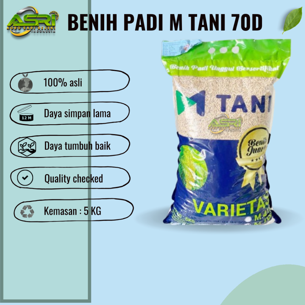 BENIH Padi M70D M70 dari M Tani (-+85 Hari) Panen Tercepat 5 KG