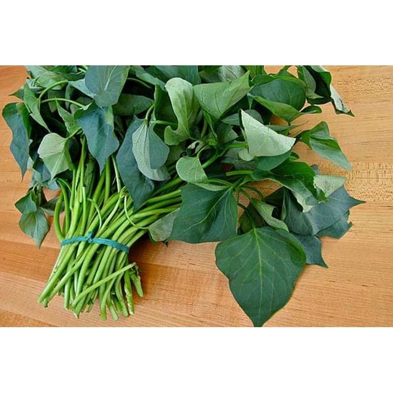 

daun ubi jalar