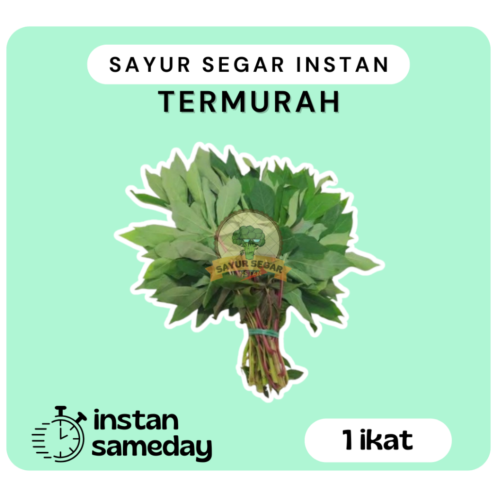 

Daun Singkong 1ikat - Sayur Segar Instan