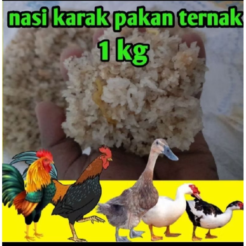 

Nasi Karak,aking pakan ternak kering maksimal BB 1 kg