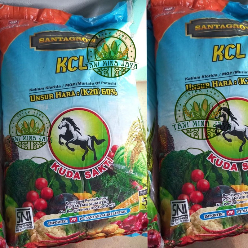 [TANI MINA JAYA] PUPUK KCL GERMAN JERMAN BAGUS 50 KG SANTAGRO