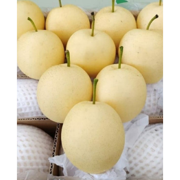 

Pear Century Import Fresh & Segar Ukuran 500g & 1Kg