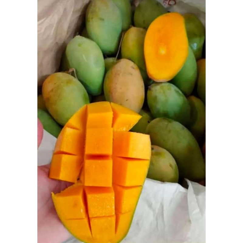 

Mangga Harumanis
