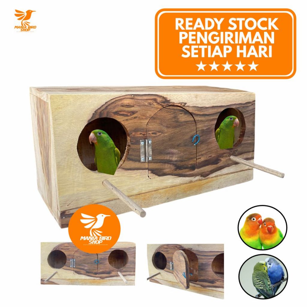 GLODOK BURUNG FALK DUA LUBANG MASUK GLODOK KAYU SONOKELING