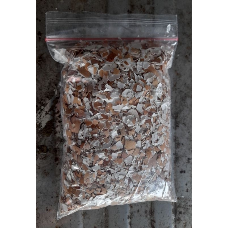 grit kulit telur murni bersih 1 kg halus