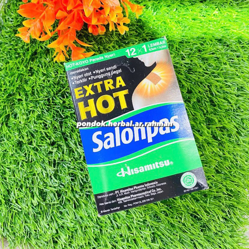 SALONPAS EXTRA HOT 12x1 LEMBAR