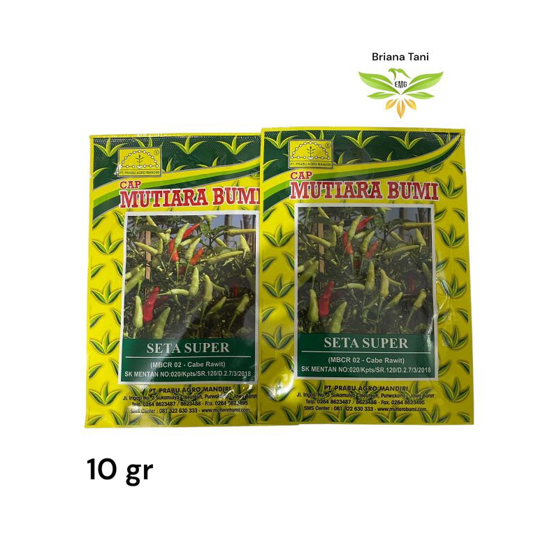 ￼Seta Super 10gr Benih Cabe Rawit Putih Mutiara Bumi Hormat