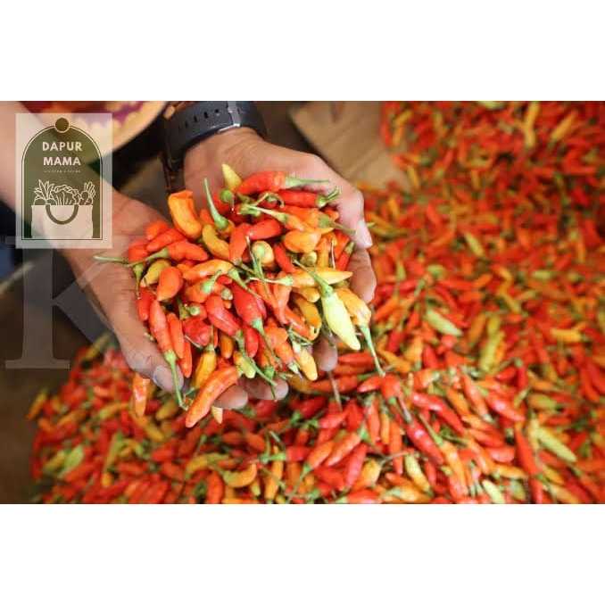 

Cabe / Cabai Rawit Merah 500 gr Fresh/Segar