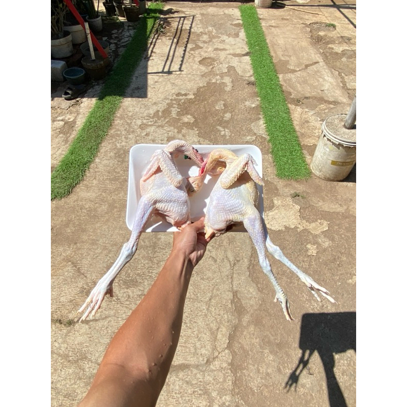 Ayam Kampung Potong