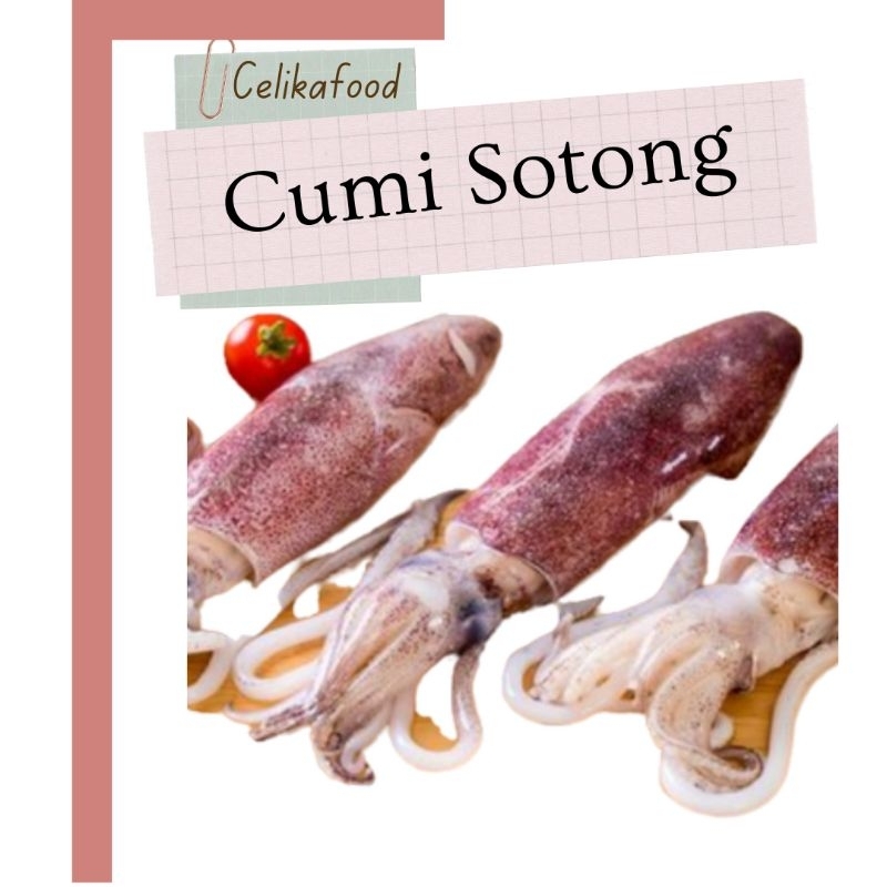

Cumi Bangka Sotong 500 gr Seafood Fresh Protein Laut Pasar