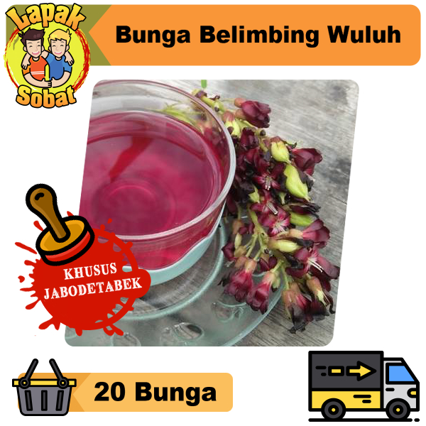 

bunga belimbing wuluh 20 bunga Asli fresh tanpa ada daunya murni bunganya saja