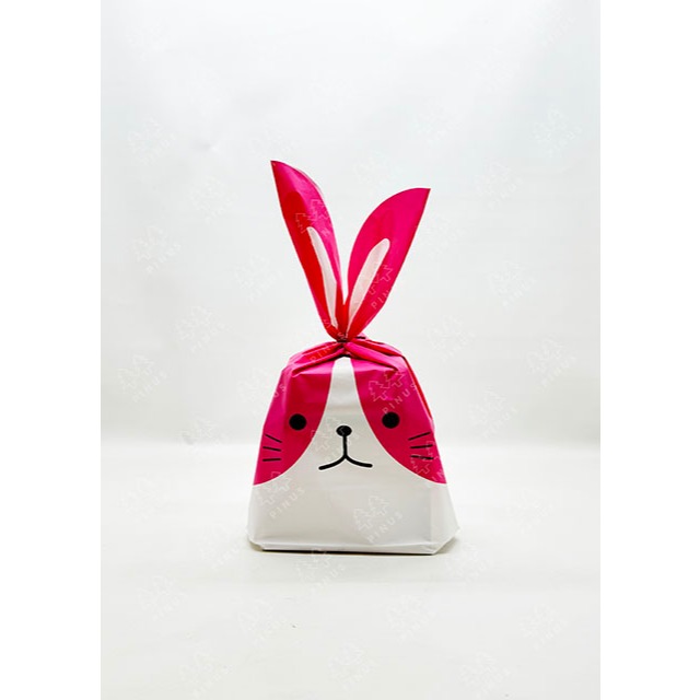 

GOODIE BAG KARAKTER 37X24 CM