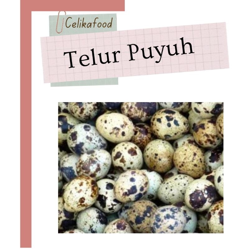 

Telur Puyuh 250gr Mentah Fresh Egg