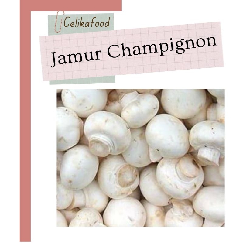 

Jamur Champignon 250gr Kancing Champignon Fresh Mushroom Sayur Sayuran Bahan Masakan Vegetable