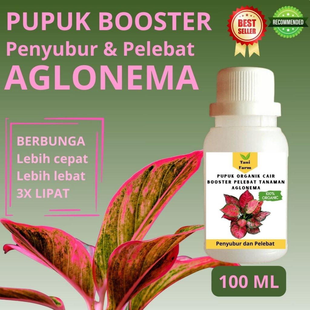Pupuk Organik Cair / Pupuk Aglonema / Pupuk Pelebat Aglonema / Pupuk Booster Aglonema