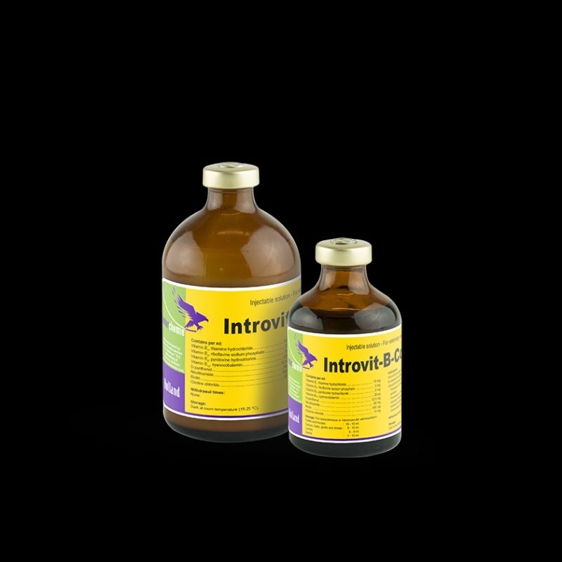 Vitamin hewan Introvit-B-Complex