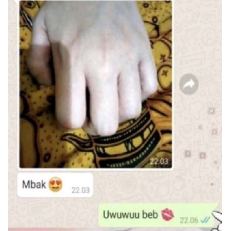 TESTI HB ORENS MANTUL