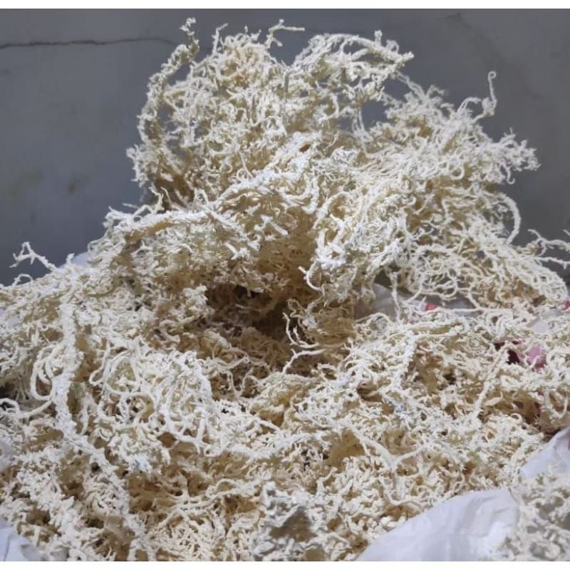 

Rumput laut kering kawat 1Kg